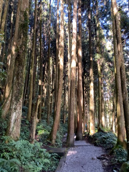 108.12.8杉林溪767685