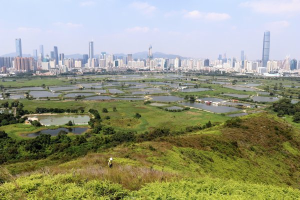 HK - 鐵坑，蛇嶺1268068