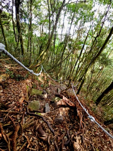 橫嶺山步道 - 2024年最有意義的山2653697