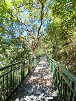 【台中和平】山林靜謐時光。 捎來步道2989206