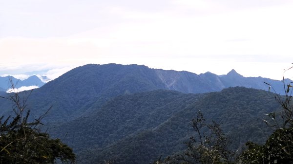 環繞在楓紅巨木和滿山翠綠的鞍馬山及大雪山小神木森林步道的悠哉山行記2996759