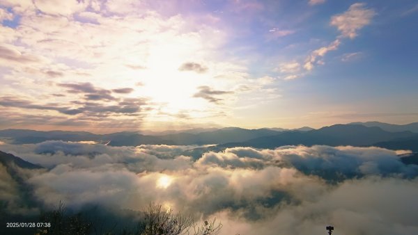 除夕寒流來襲的翡翠水庫雲海&天元宮寒櫻1/282700694