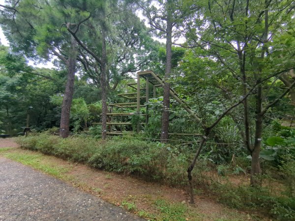 2025.07.20－霄裡好風光：大湳森林公園&亮亮健康樂園2841528