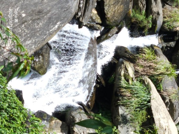 福山大羅蘭溪>古圳步道>黃金水岸2858963