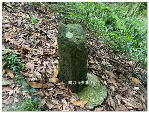 關刀山 (南入口)、關刀山西北峰 連走2804123