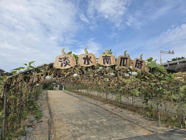20260522淡水南瓜隧道-下奎柔百合花園-錦繡莊文化園區3062851
