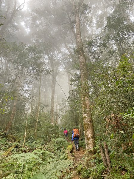 探訪巒安堂、西巒大山、治茆山三日行   1292685