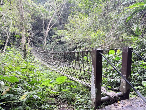 馬胎古道、南坪古道3080420