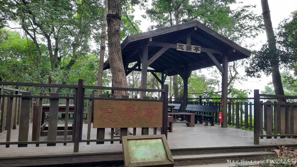 《台中》觀九九峰｜霧峰青桐林生態步道群202511092932231