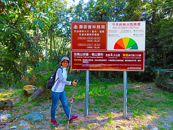 如童話般的森林步道-武陵桃山瀑布步道1190815
