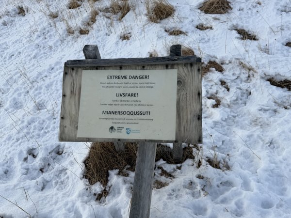 [紐約馬之行-35] 2025_1106 世界遺產木棧道-上2948092
