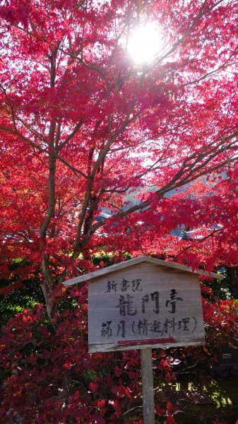 日本京都嵐山651995