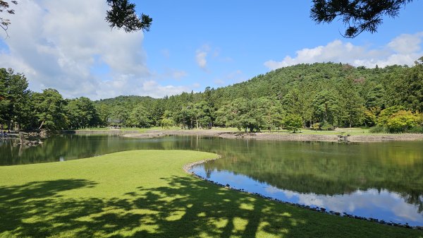 240818-平泉世界文化遺產健行。美美兔平泉巡禮。2626954