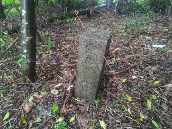 華山4-2號步道上雲嘉連峰2579394