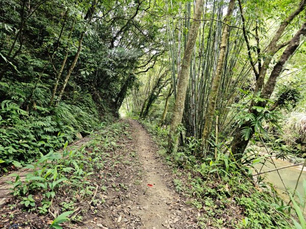 四寮溪生態步道-2025森遊竹縣皮皮獅探險隊2889099