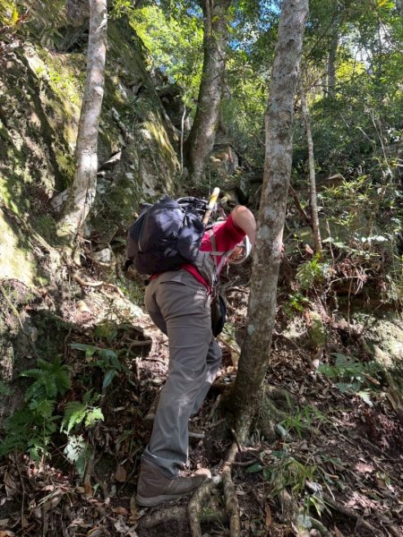 南庄鵝公髻山東河線2970568