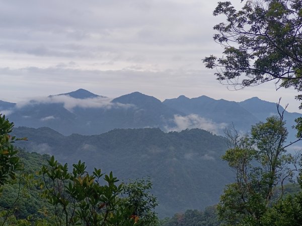 南松鶴登八仙山（113年1月）2409961