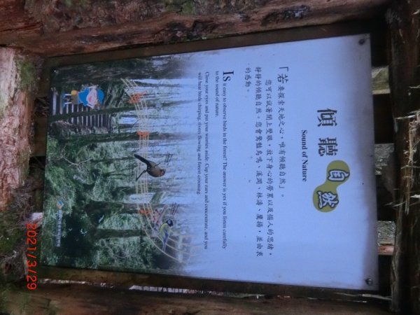翠峰湖環山步道1558003