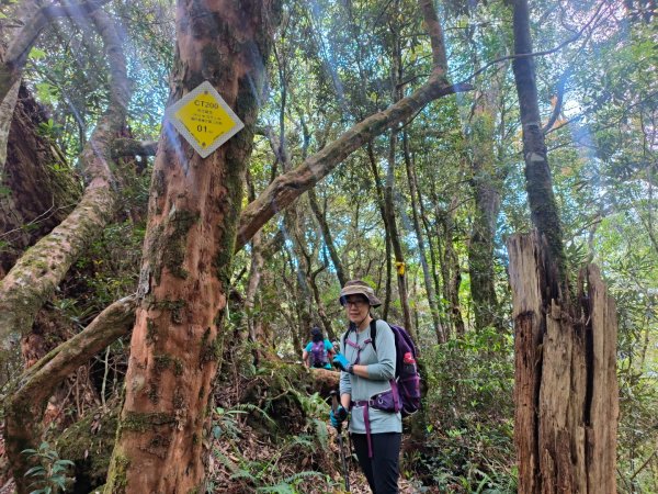 1130511夫拉縱走2500154