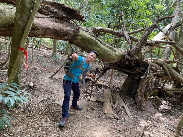 六龜美輪山【享受簡單純粹的登山樂趣】2415548