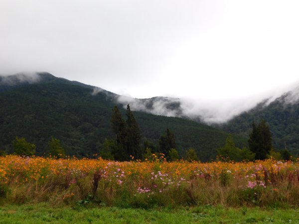 國慶日走雪主東464538