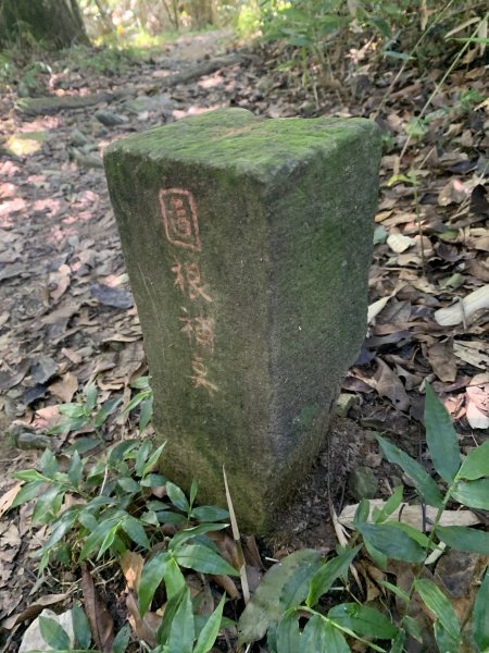 20260704高雄尾寮山-尾寮山西北峰(第26刷)3084688