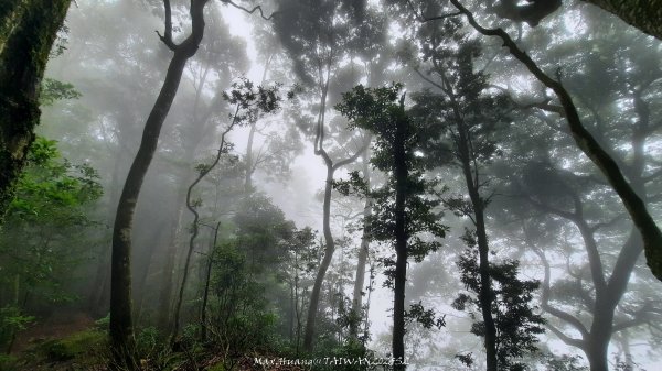 《雲林》望好望角｜石壁山嘉南雲峰步道(中側登山口）202506072805406