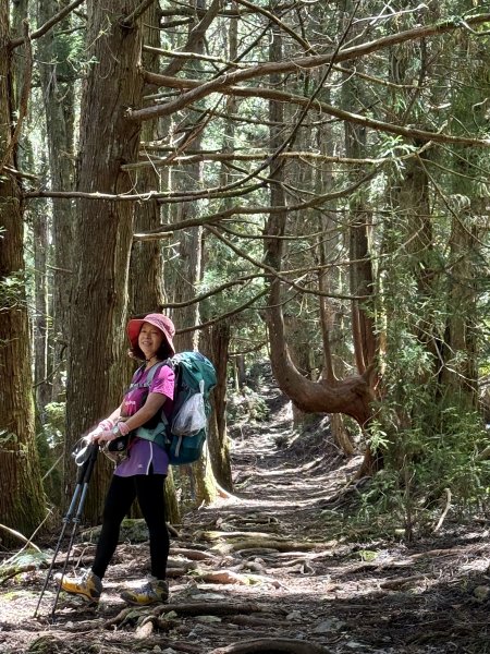 馬崙山 202509062889340