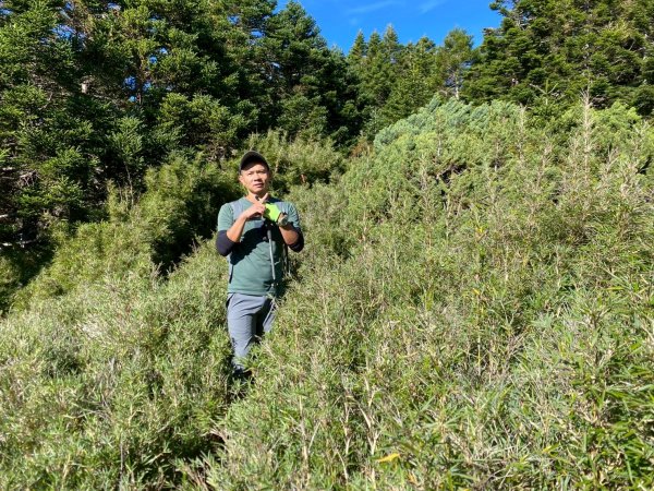 奇萊主峰.奇萊北峰【登山 千萬別高估自己】2910855