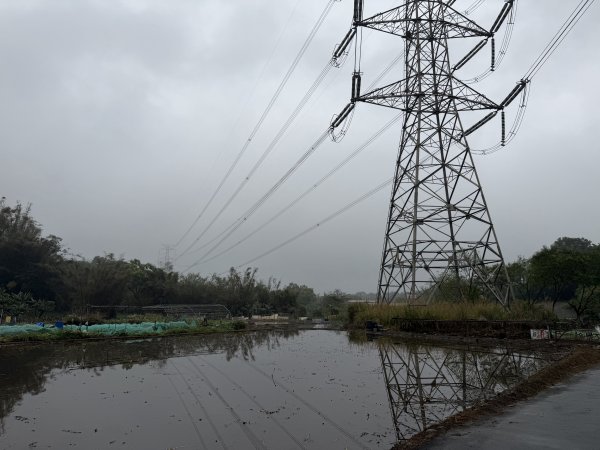 [樟之細路_第一大段RSA01] 2026_0329 大平紅橋3026641