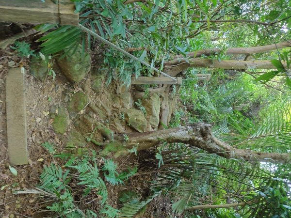 微笑山線之鳶山任務2855522