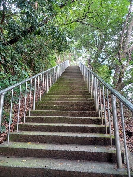 【台中北屯】南觀音山步道2933185