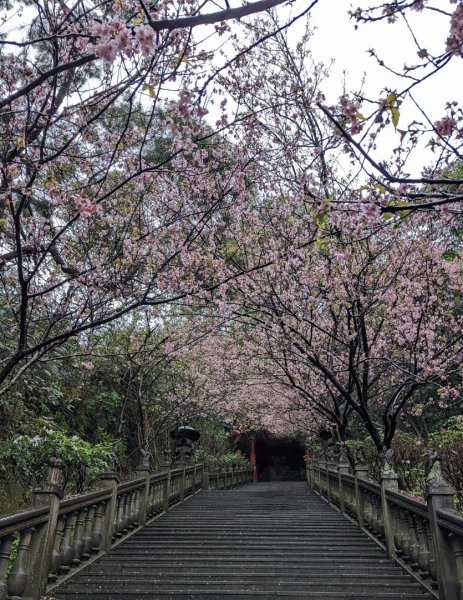 鯉魚山圓覺寺1669221