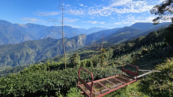 240106-小百岳#053 溪頭鳳凰山。美美兔今年首登。2397378