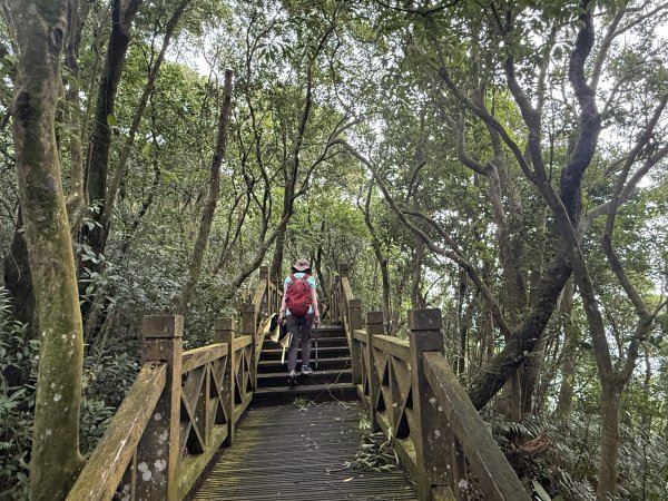 獅仔頭山 2025.07.202864259