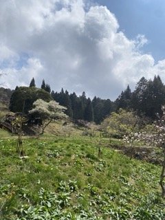 1130306大塔山步道2696773