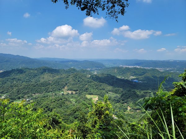 關西赤柯山,東獅頭山步道2281827