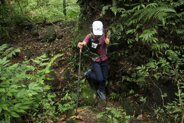 淡蘭古道北路坐山望海1253892