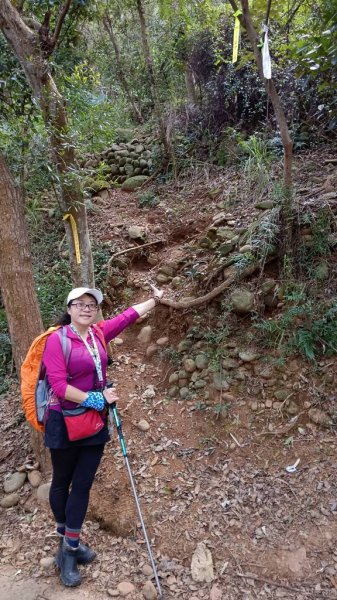 【田中秘境】田中大小劍+小奇萊O繞2719651