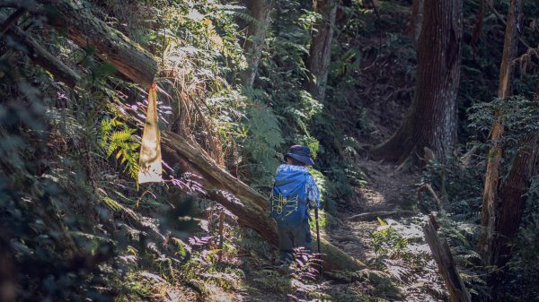 一抹雲霧的憂傷-民都有山 & 張學良故居1549158