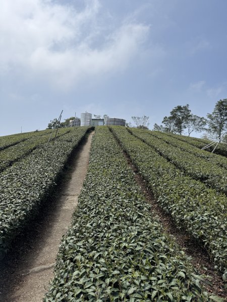 1150322雲嘉8連峰3023010