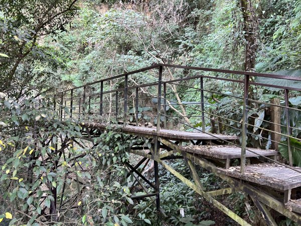 清水岩中央嶺造林步道2957425