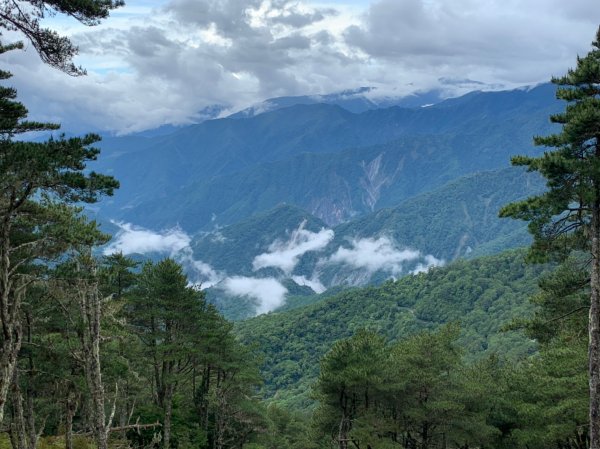 20220625台東海端向陽山、向陽山北峰、三叉山、嘉明湖1745529