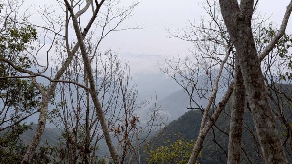 後尖山步道3008305