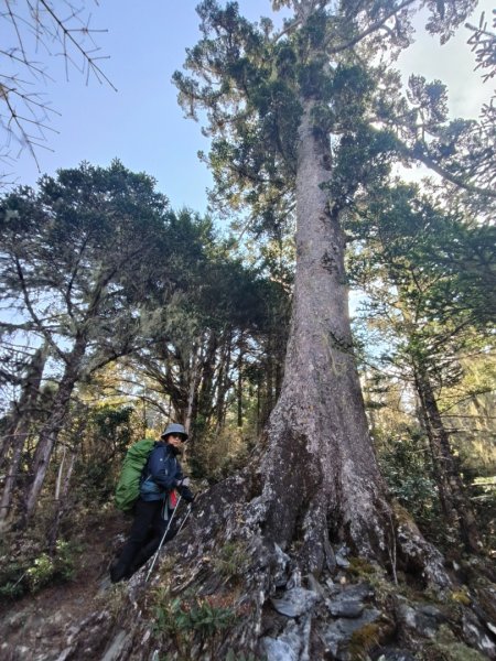 20240322 馬博8天縱走~第七天，馬西山，喀西帕南山2471481