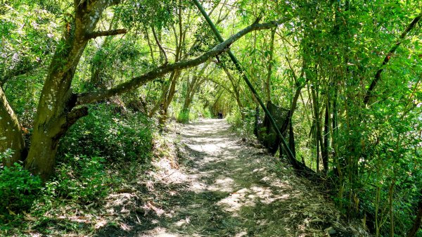 三汀山,苗圃,蝙蝠洞2787345