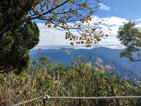 馬那邦山(小百岳#37)登山步道。點點楓紅 2020/12/131425321