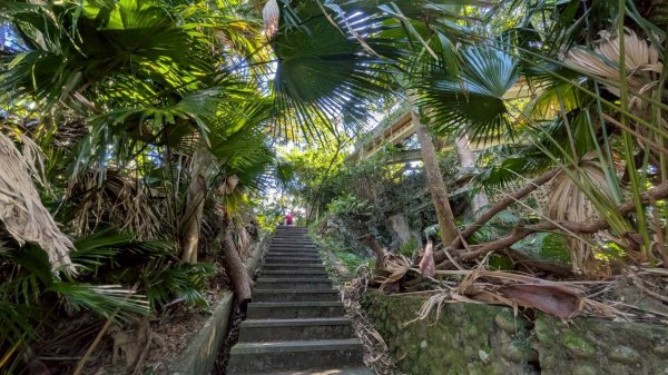 114.08.16和美山之微笑山線2864968