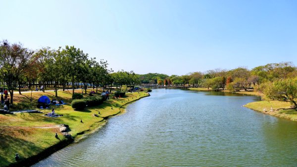 琴弦上的白宮2987567