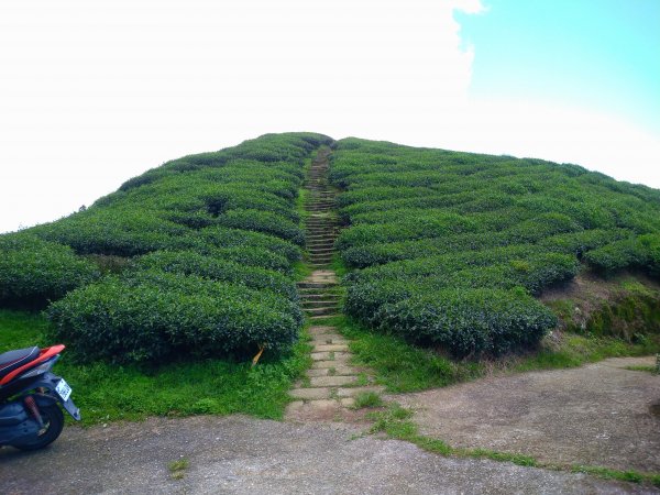 小百岳：嶺子腳山(太平山)1184388